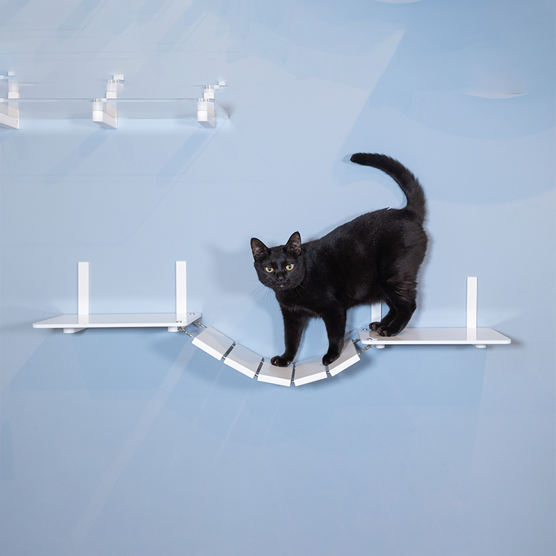 CATROAD+ キャットブリッジ