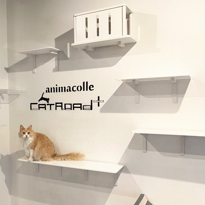 CATROAD+ ロングステップ 900mm