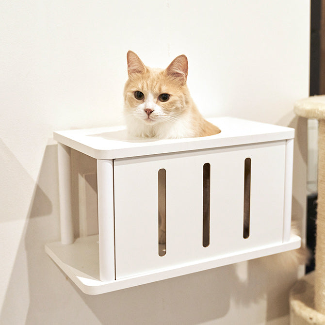 CATROAD+ キャットトンネル