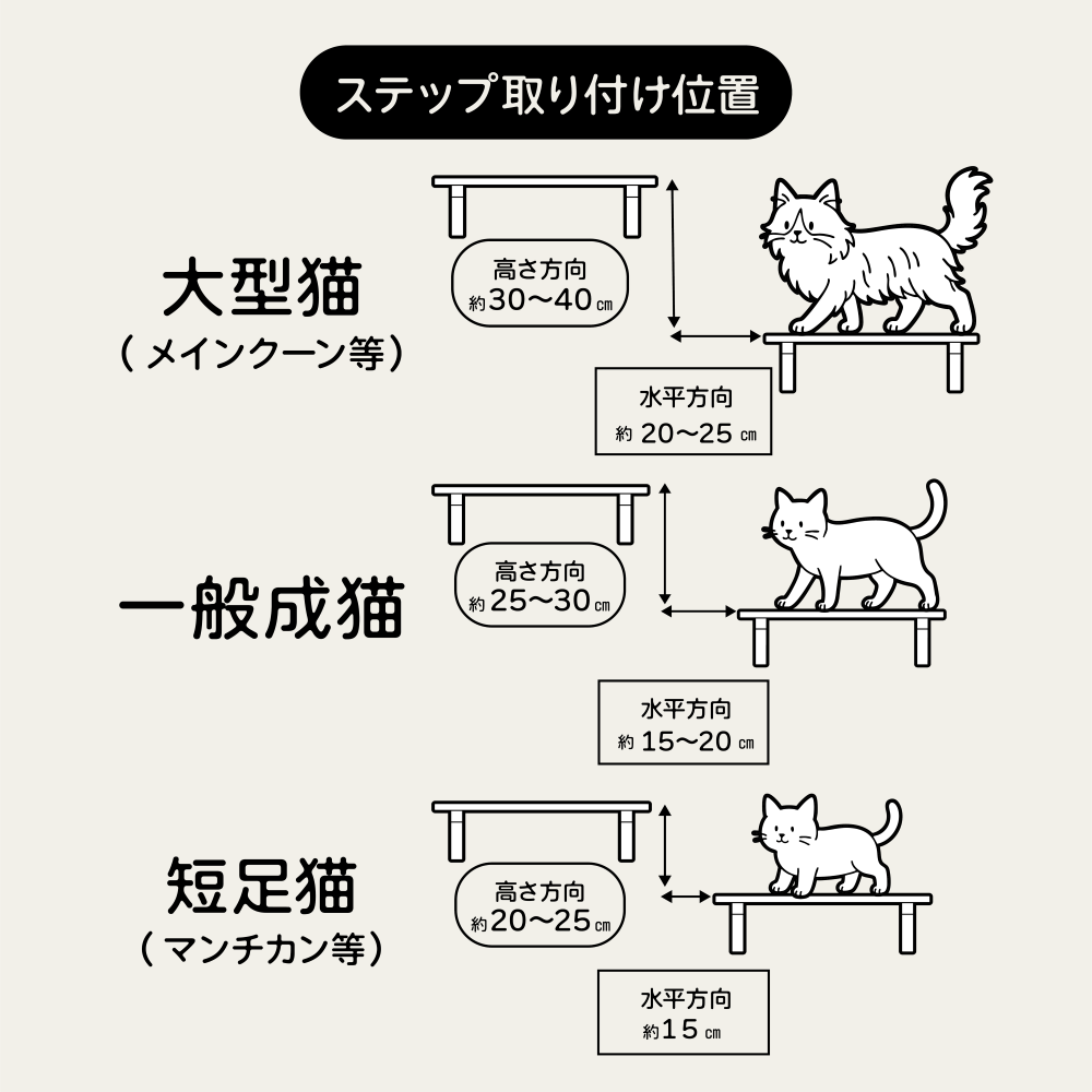 CATROAD+ キャットラダー
