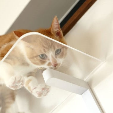 CATROAD+ キャットステップカバーセット(白・黒)