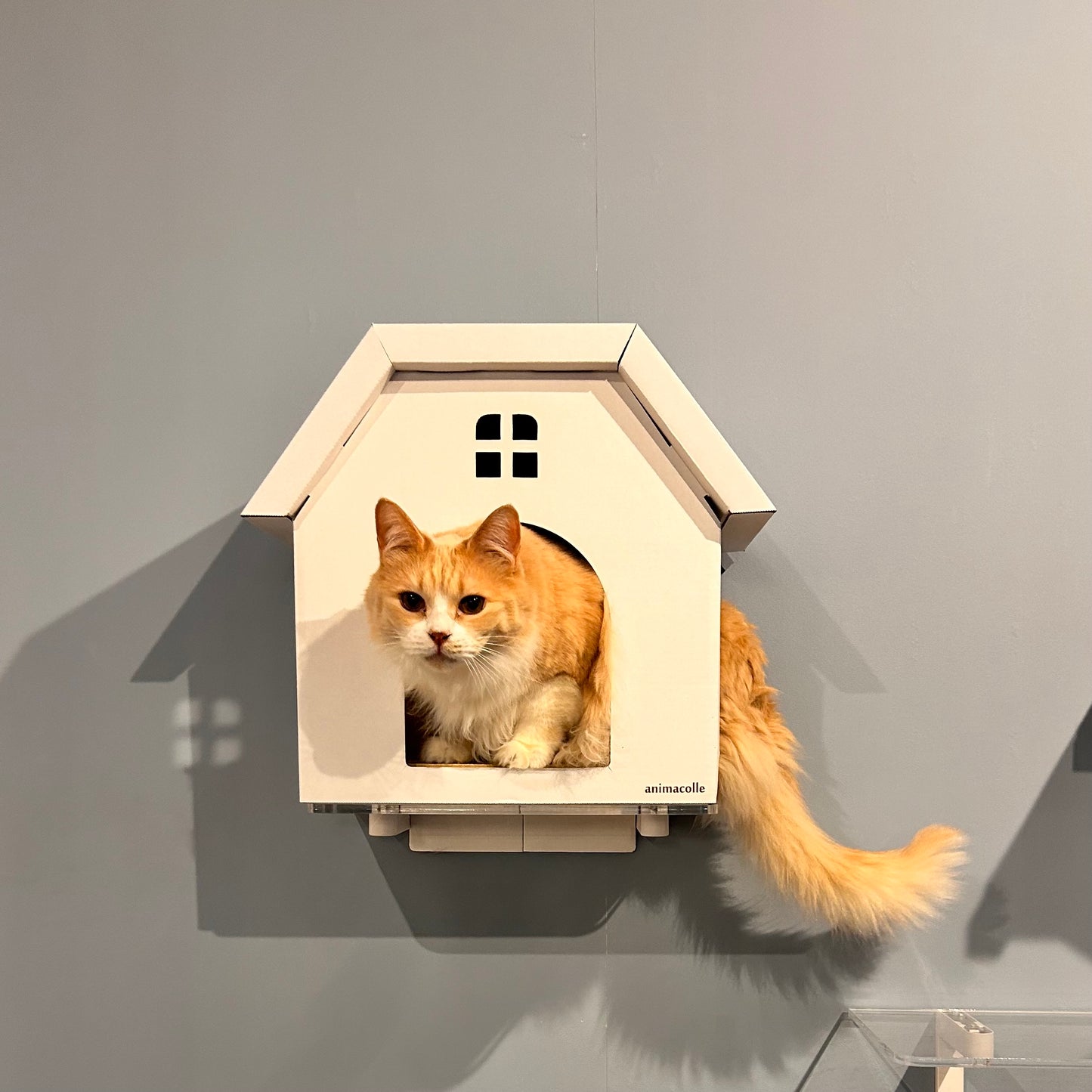 nyanparfait 爪とぎキャットハウス (全10color)