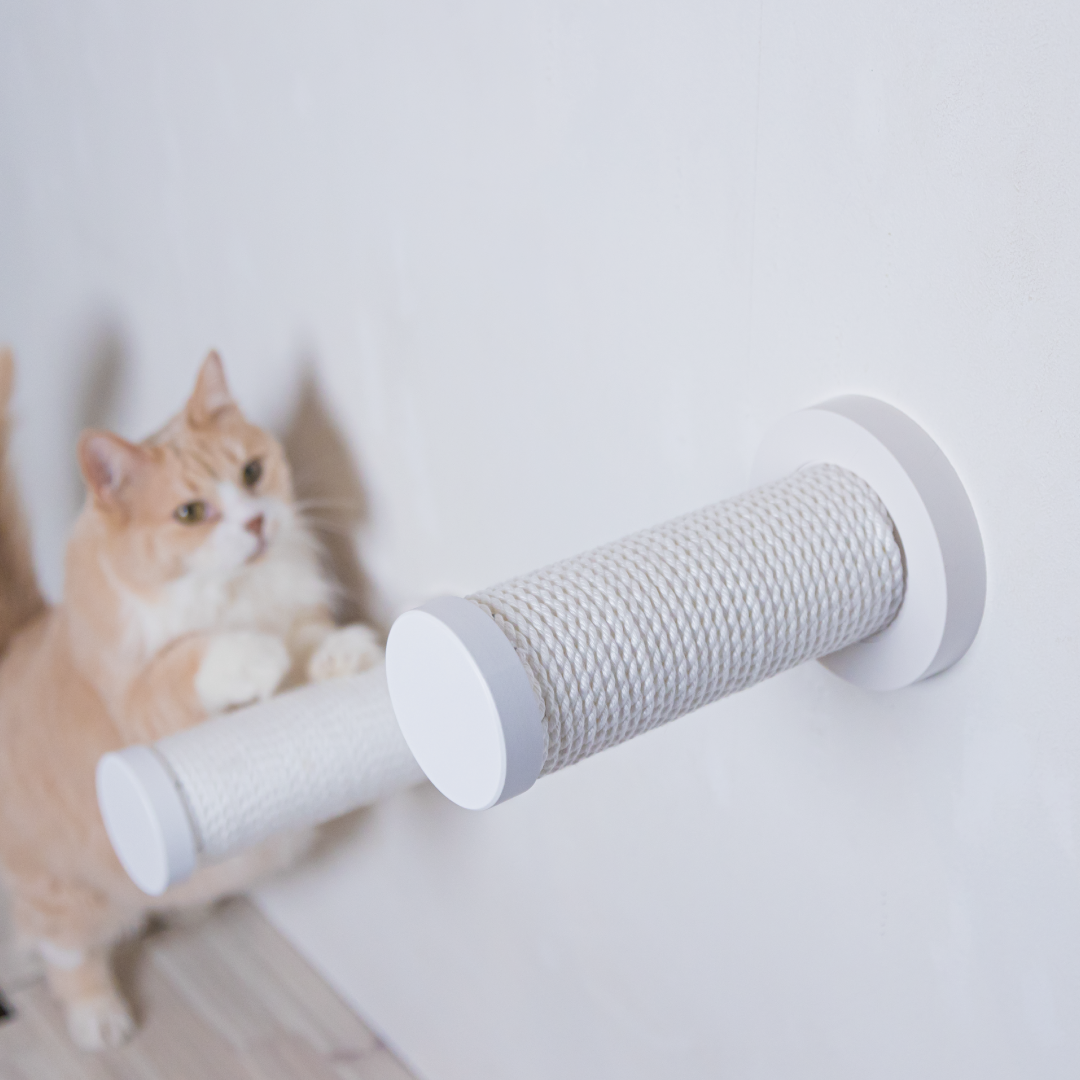 CATROAD+ キャットスティック(つめみがきステップ)