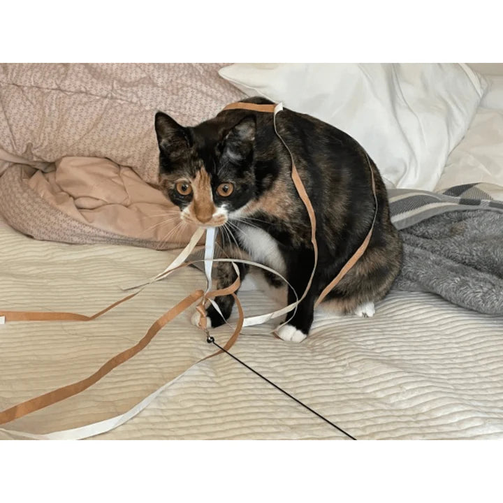 nyanparfait Sorbét スティックおもちゃ - Tyvek®&リボン