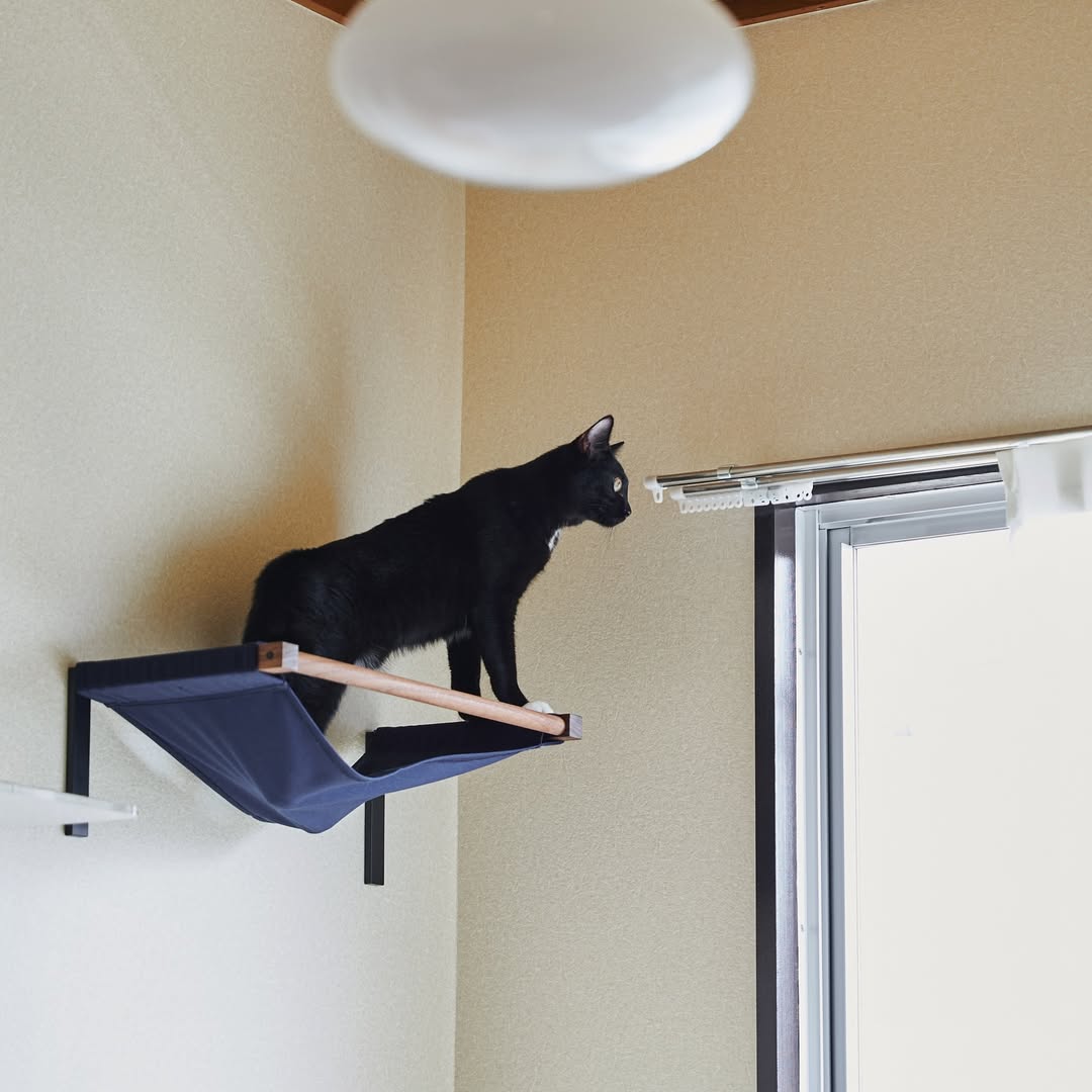 moku to.  キャットハンモック