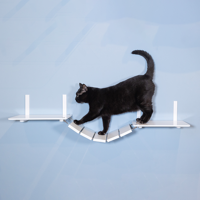 CATROAD+ キャットブリッジ