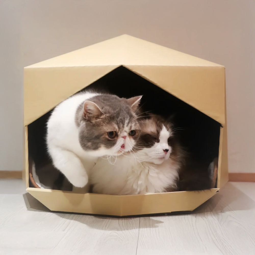 nyanparfait coconel(ココネル)