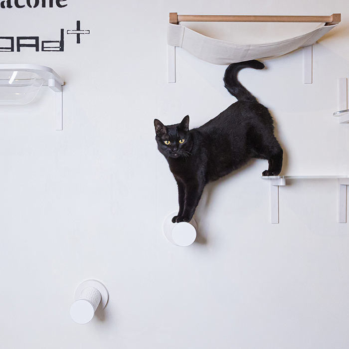 CATROAD+ キャットスティック