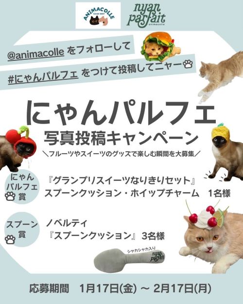 写真投稿キャンペーンの写真