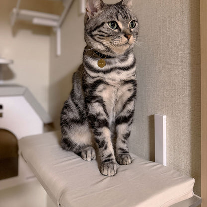 CATROAD+ ねころびクッション