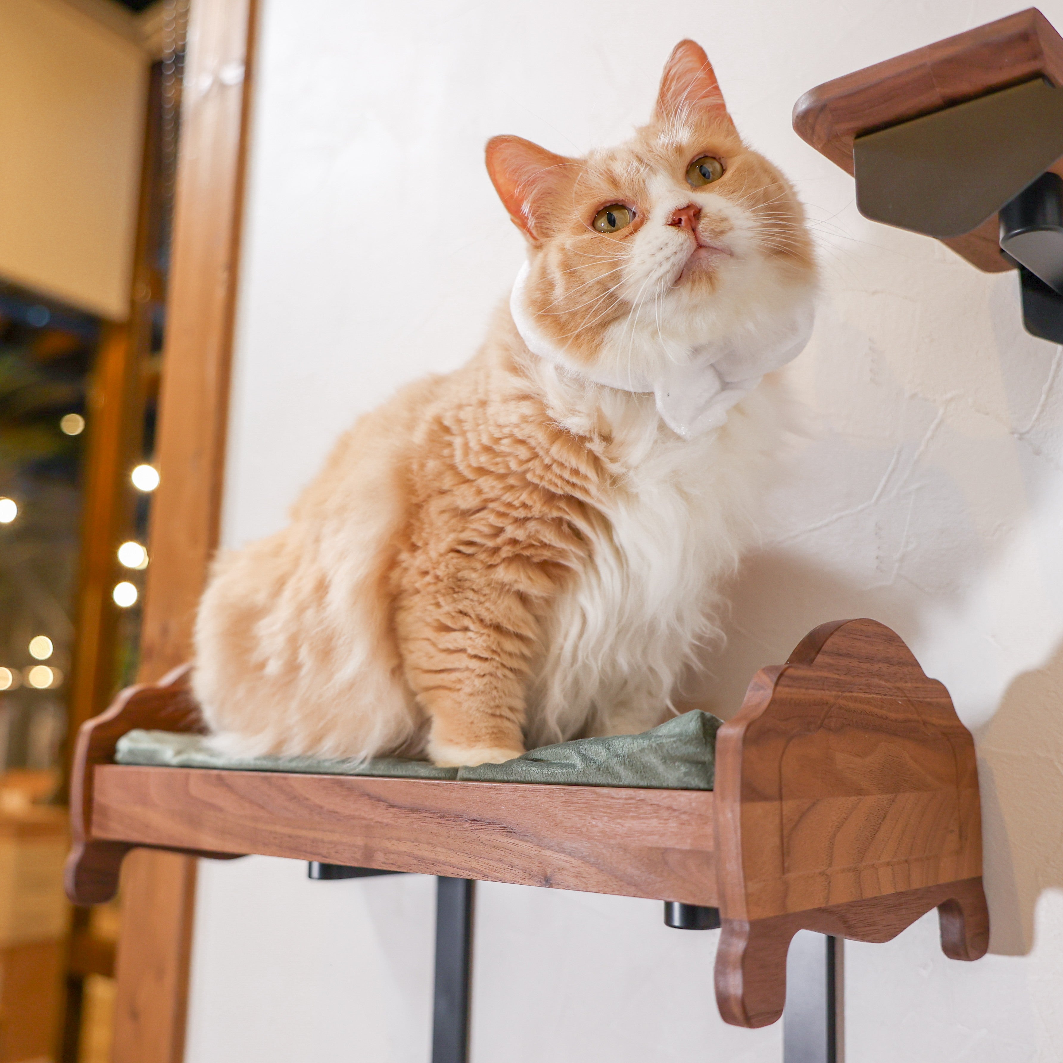 ピックアップ商品 | 日本製猫用品、グッズの専門通販はanimacolle