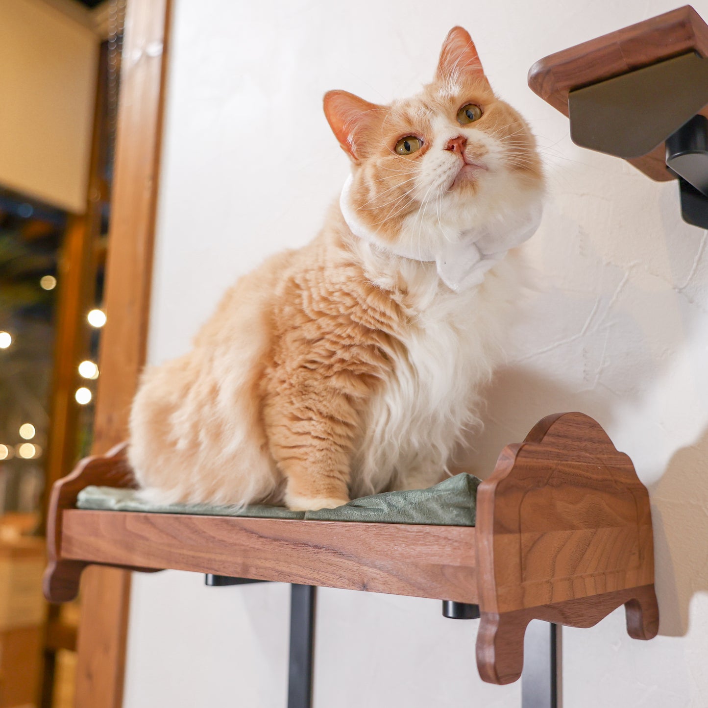 moku to.キャットベッド