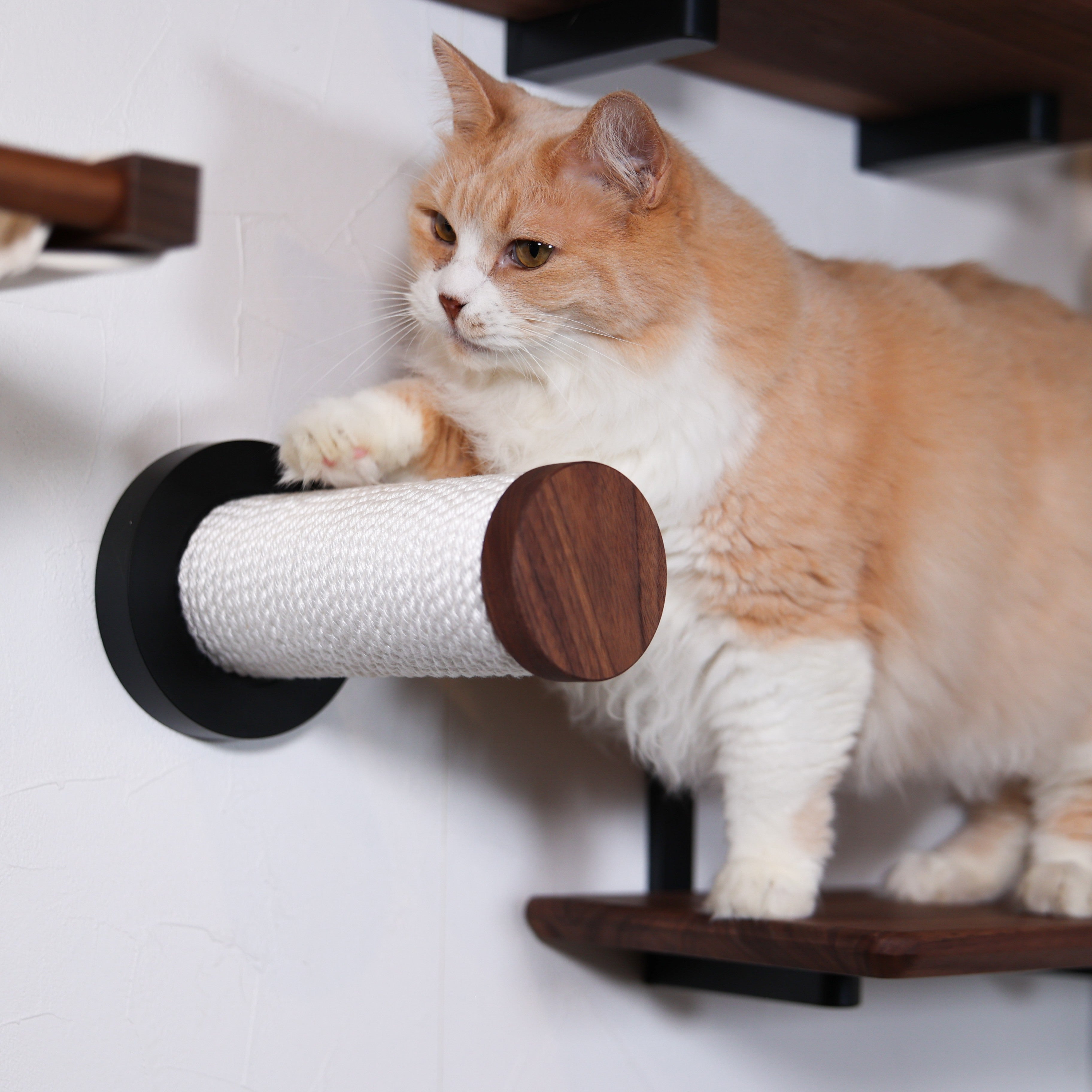 moku to.キャットスティック（つめみがきステップ） | 日本製猫用品