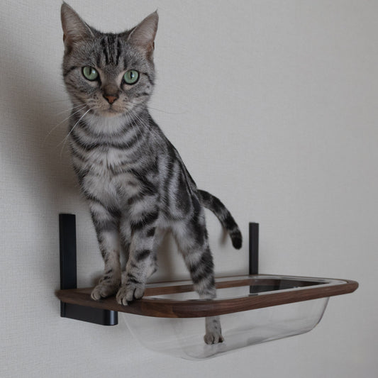 moku to.キャットバス