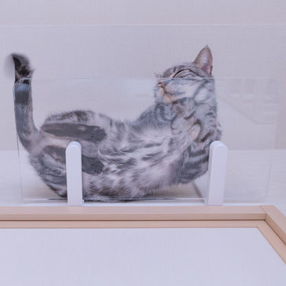 CATROAD+ ワイドステップ 450mm