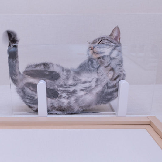 CATROAD+ ワイドステップ 450mm