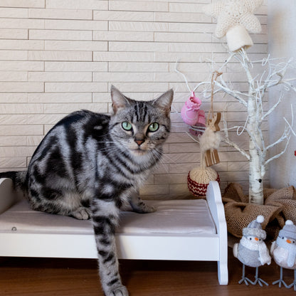 CATROAD+キャットベッド