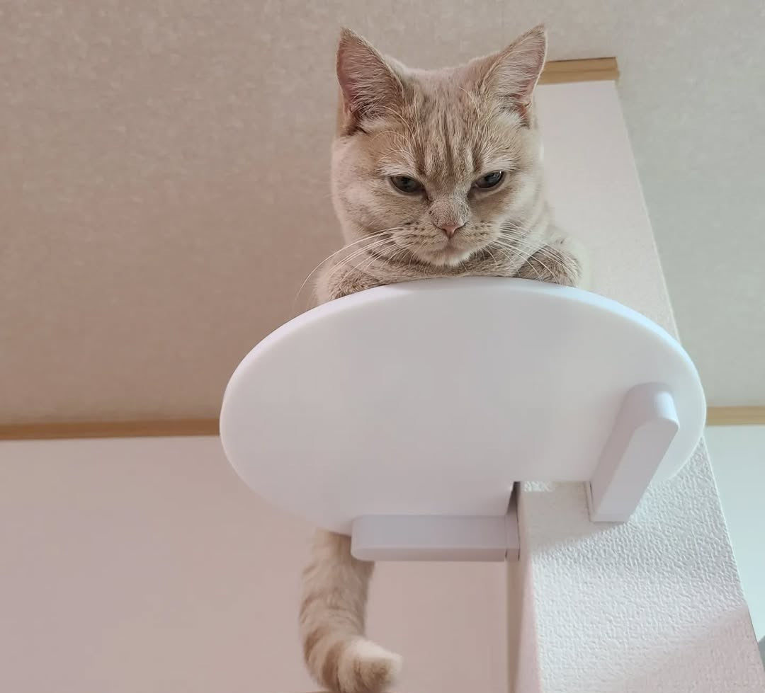 CATROAD+ コーナーステップ