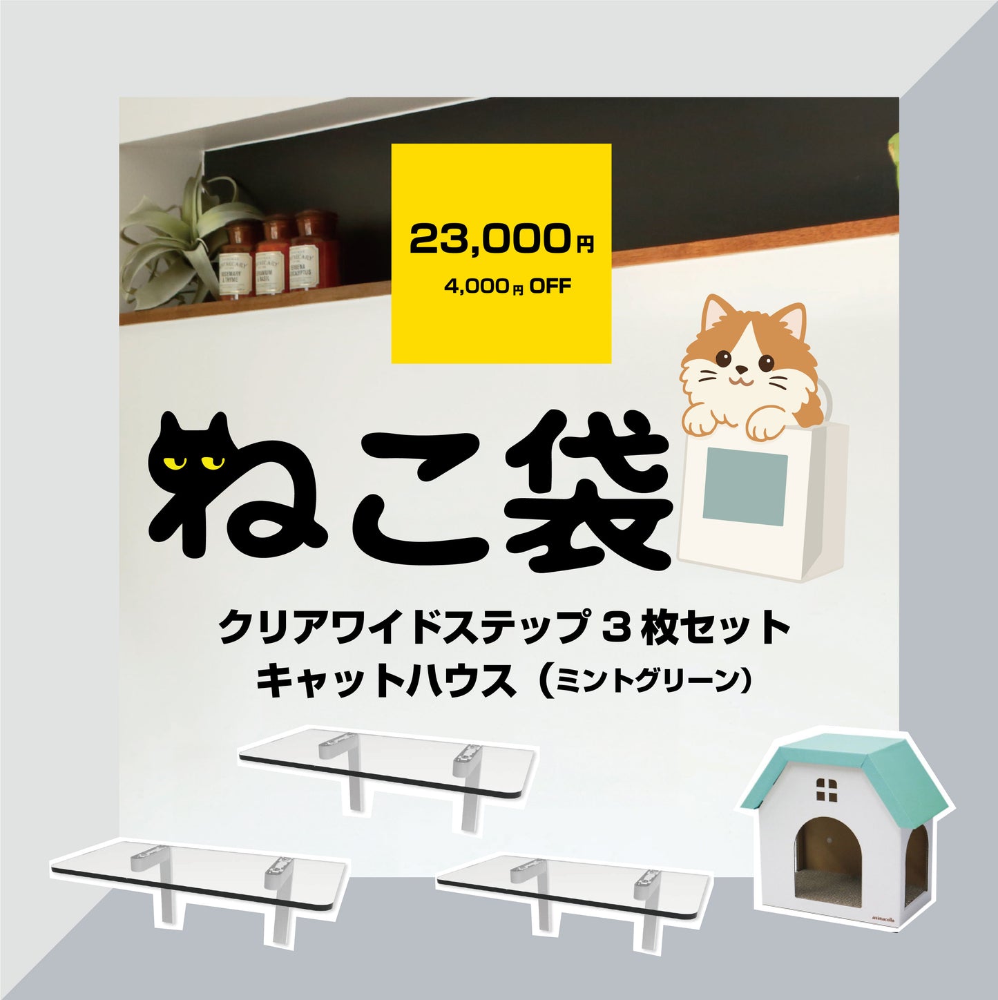 ５月のねこ袋