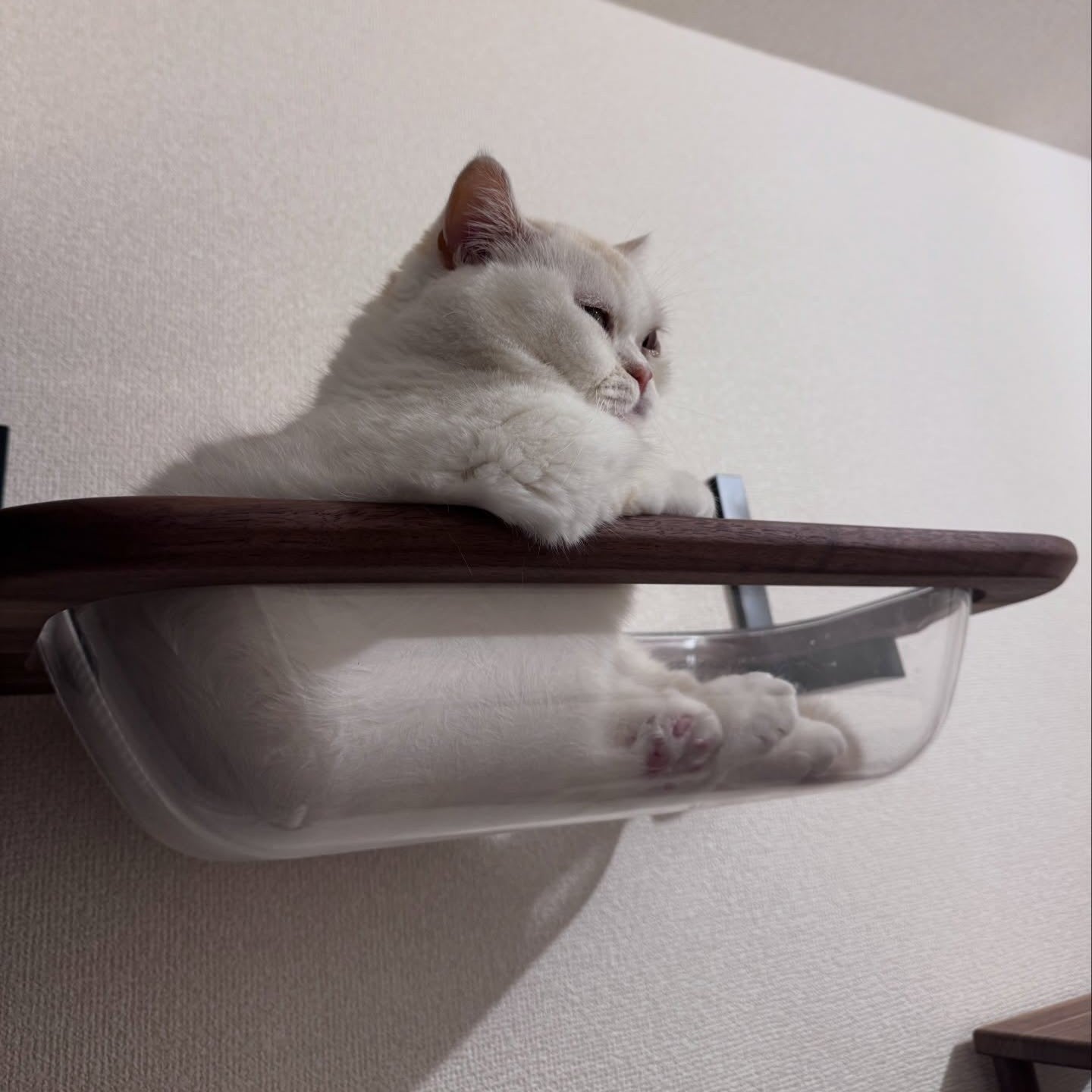 moku to.キャットバス | 日本製猫用品、グッズの専門通販はanimacolle