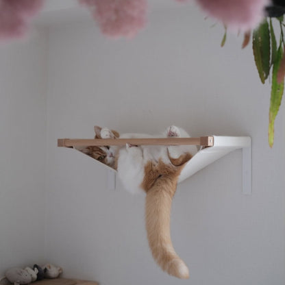 4月25日入荷予定　CATROAD+ キャットハンモック