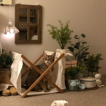 nyanparfait  Sorbét　かくれんぼカーテンの家