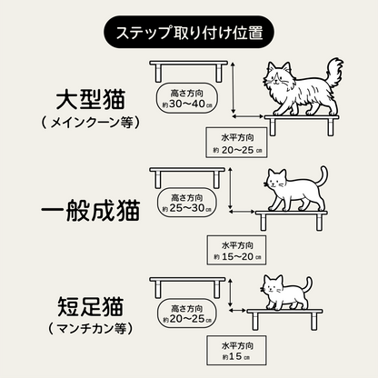 6月のねこ袋