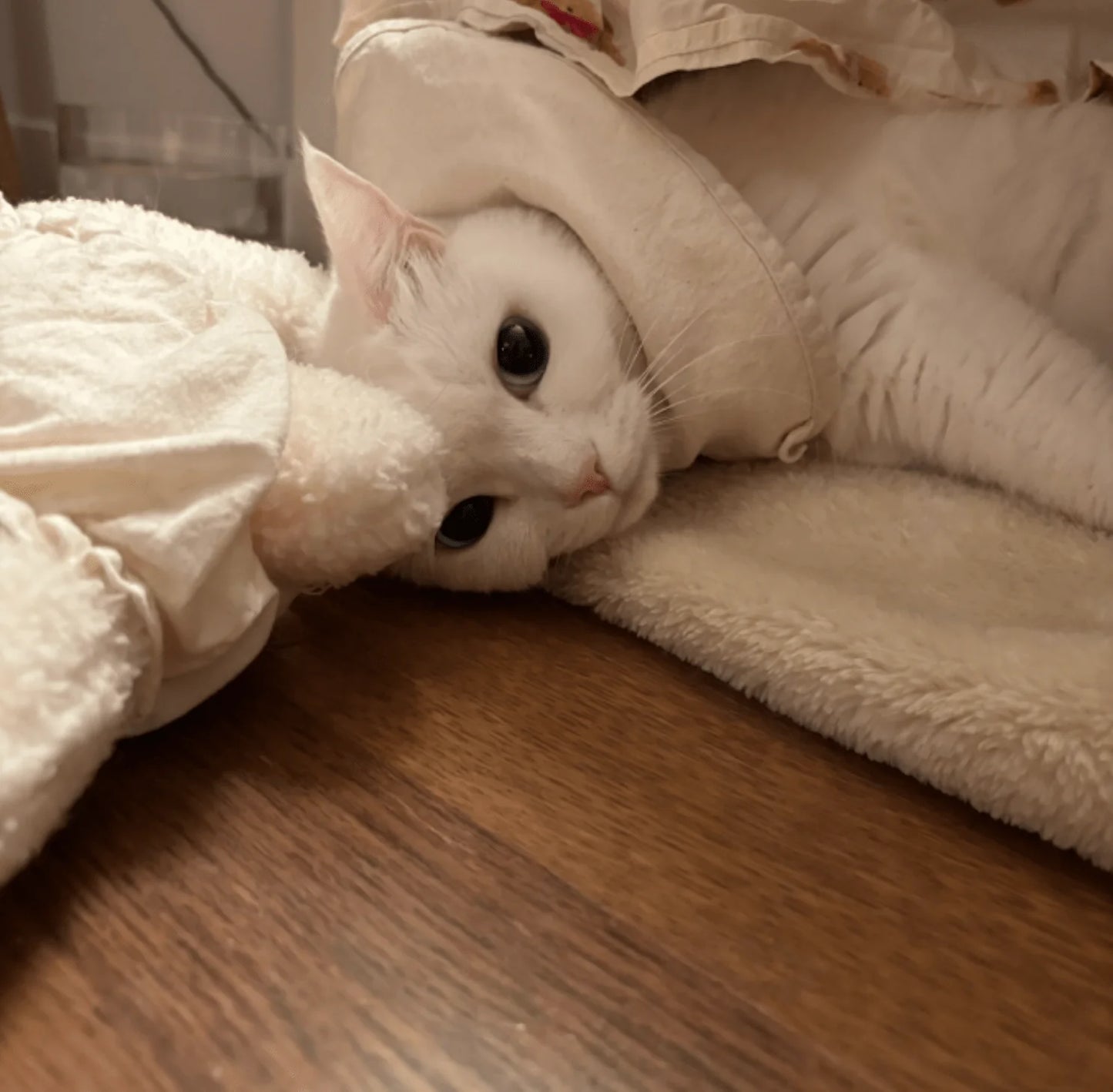 nyanparfait Sorbét 折りたたみブランケット