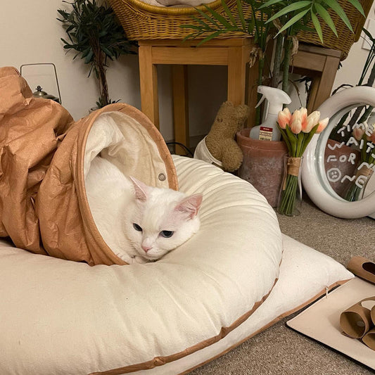 nyanparfait  Sorbét　Tyvek®キャットトンネル - 3Holes