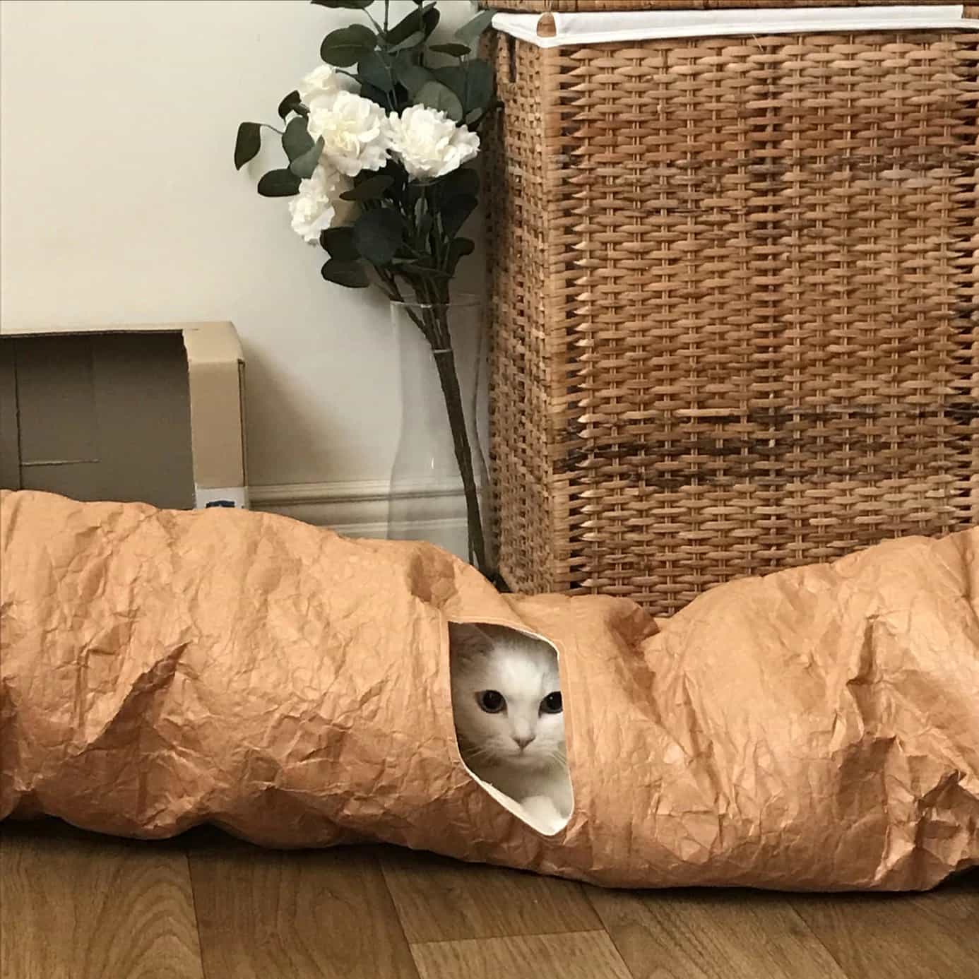 nyanparfait  Sorbét　Tyvek®キャットトンネル - 3Holes