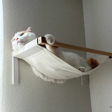 キャットハンモック | 日本製猫用品、グッズの専門通販はanimacolle