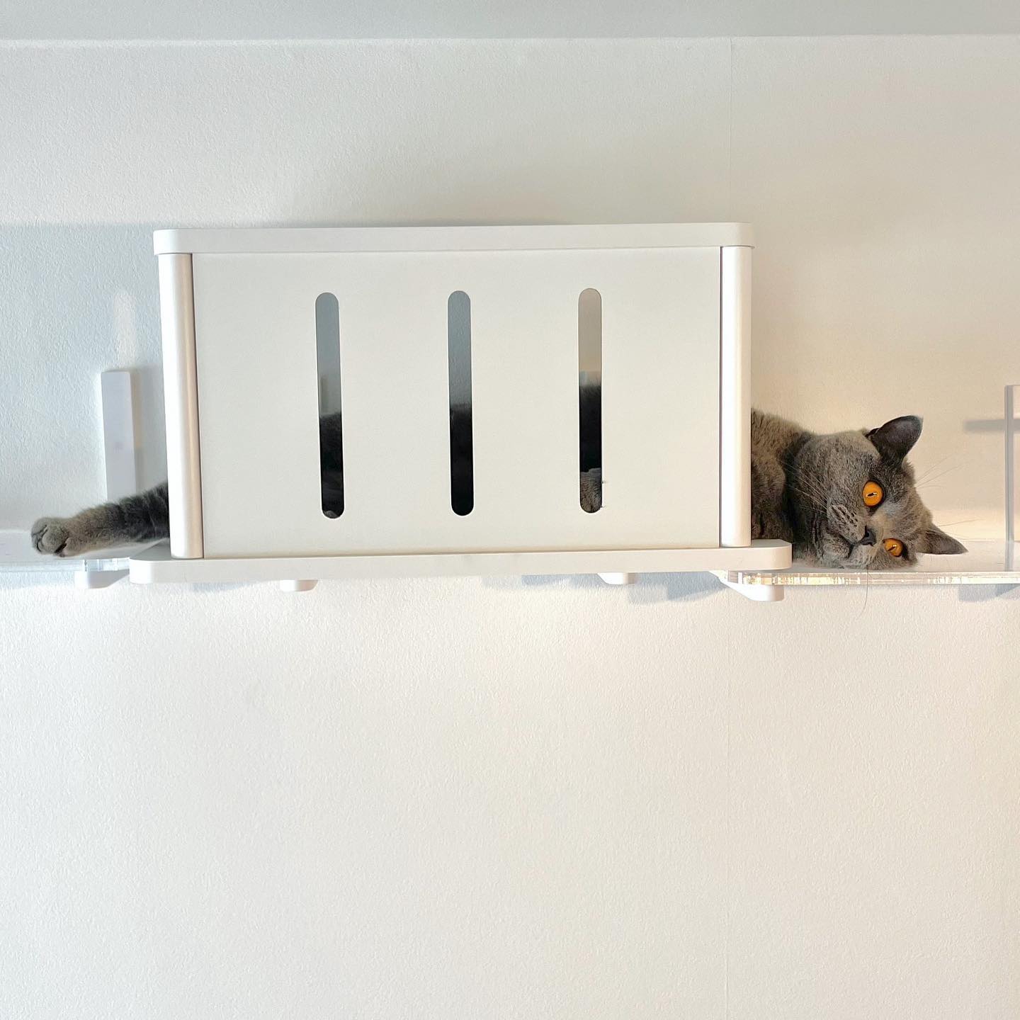 キャットトンネル | キャットウォーク | 日本製猫用品、グッズの専門