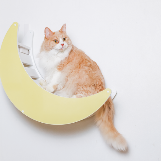 【公式限定カラー】Catroad＋キャットムーン