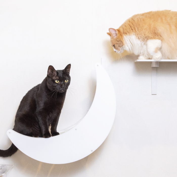 CATROAD+ キャットムーン