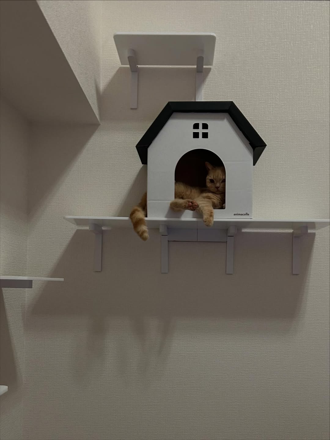 CATROAD+ ロングステップ 900mm