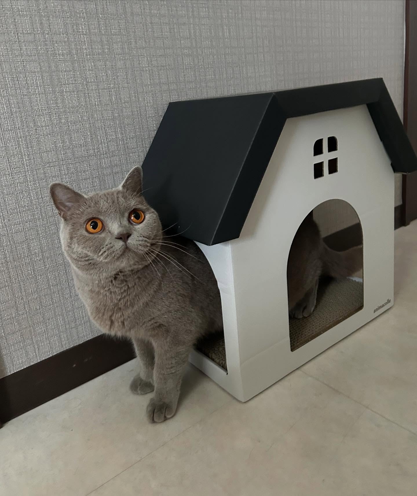 猫用爪とぎキャットハウス | 日本製猫用品、グッズの専門通販は