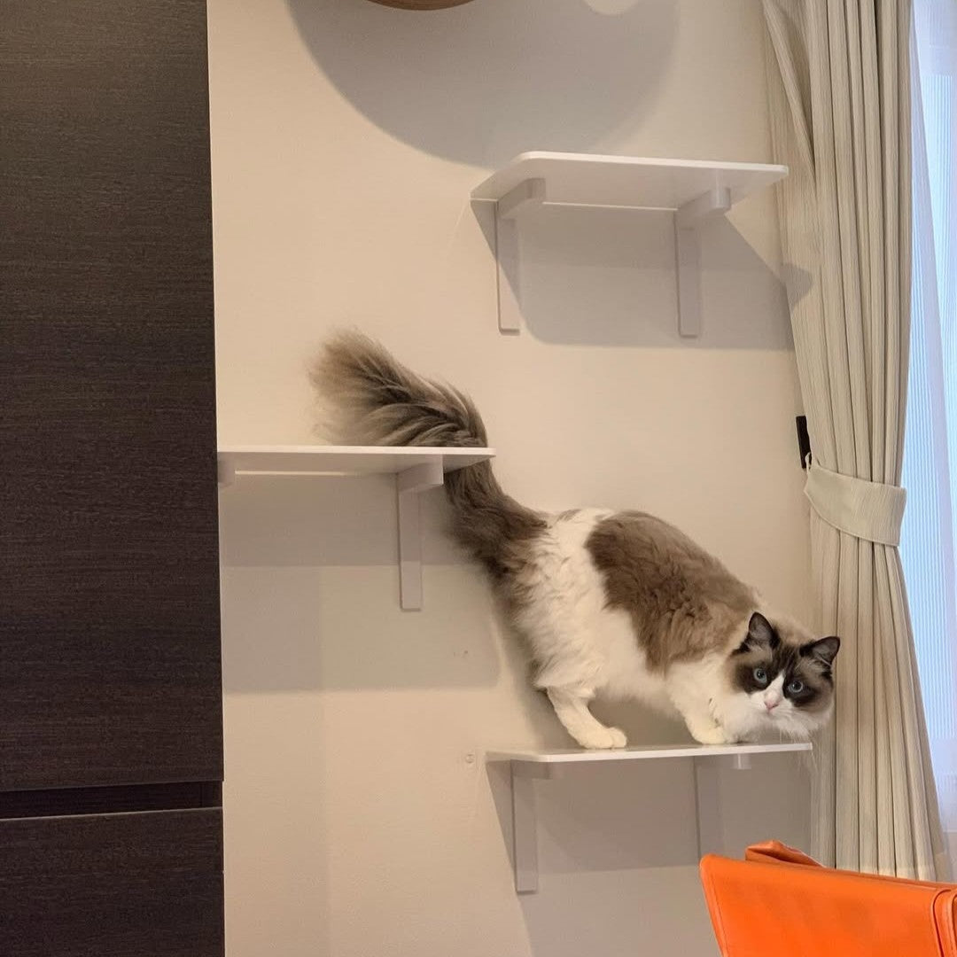 animacolle CATROAD+ キャットステップ 350mm 3枚セット キャットステップ(白)3枚セット 350mm | キャットステップ