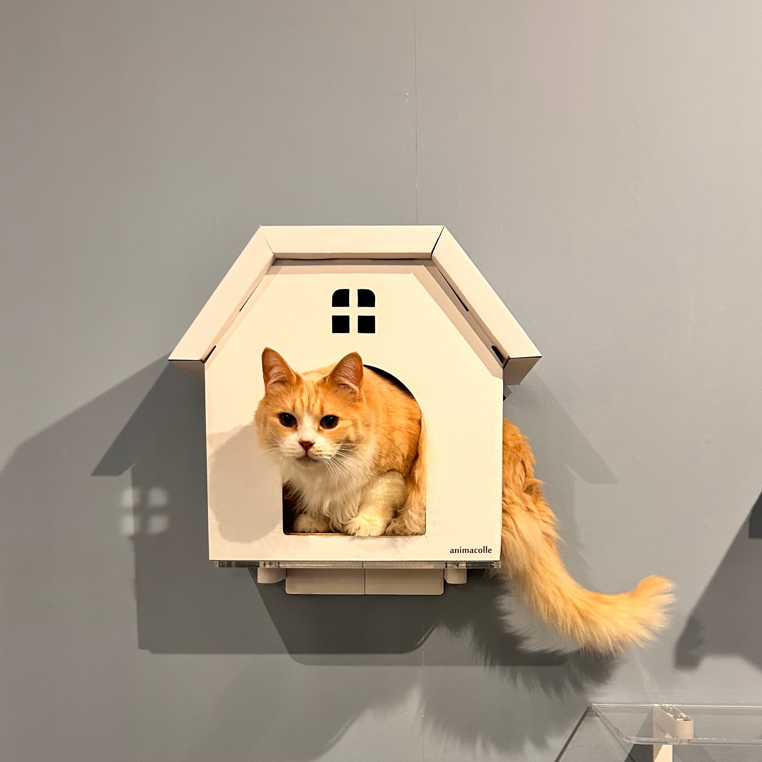 ねこの暮らし 猫用ハウス 猫用爪とぎ 2in1ひまわりの爪とぎ付き隠れ家ハウス 猫用爪とぎキャットハウス | 日本製猫用品、グッズの専門通販は