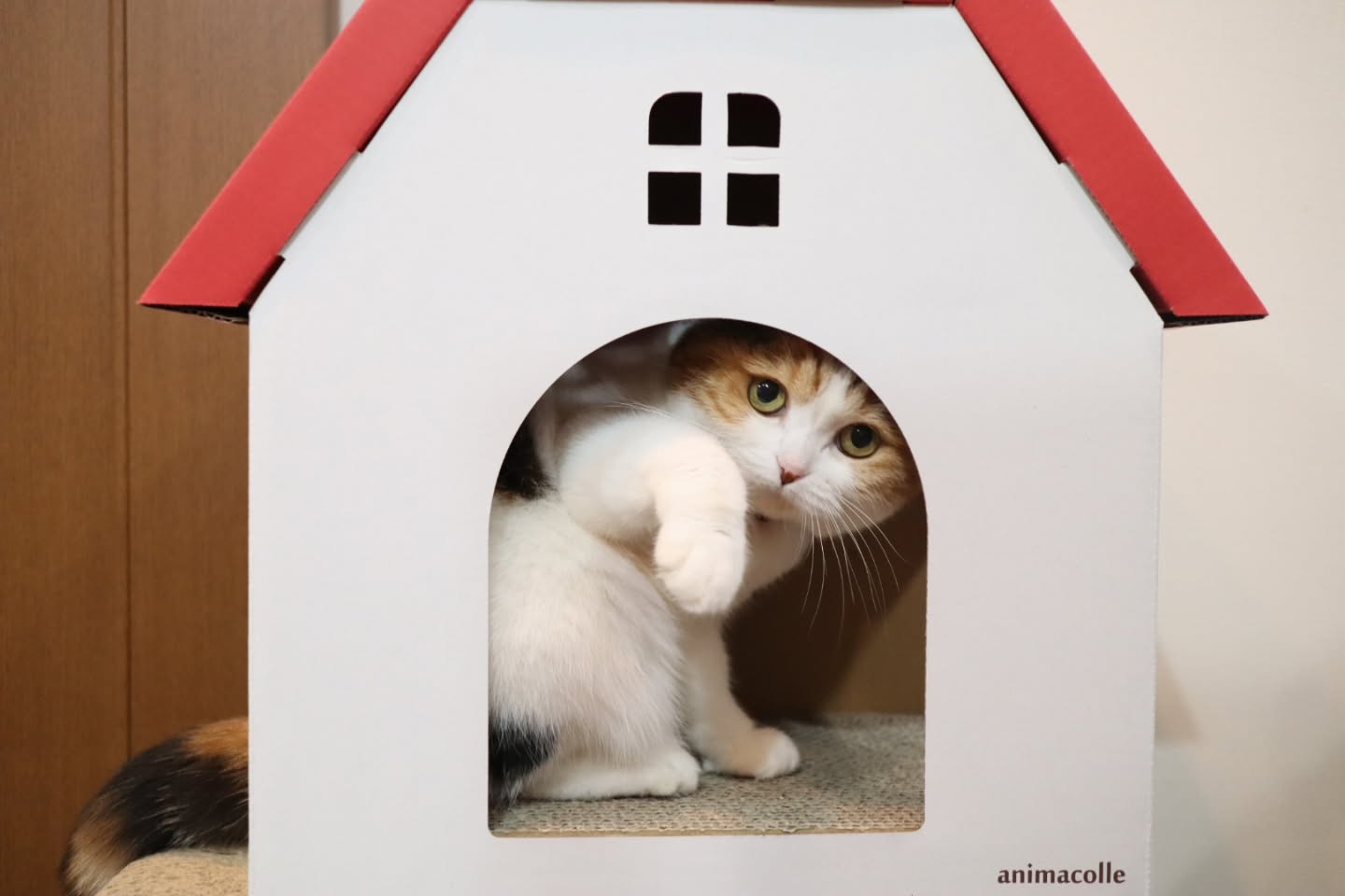 猫用爪とぎキャットハウス | 日本製猫用品、グッズの専門通販は