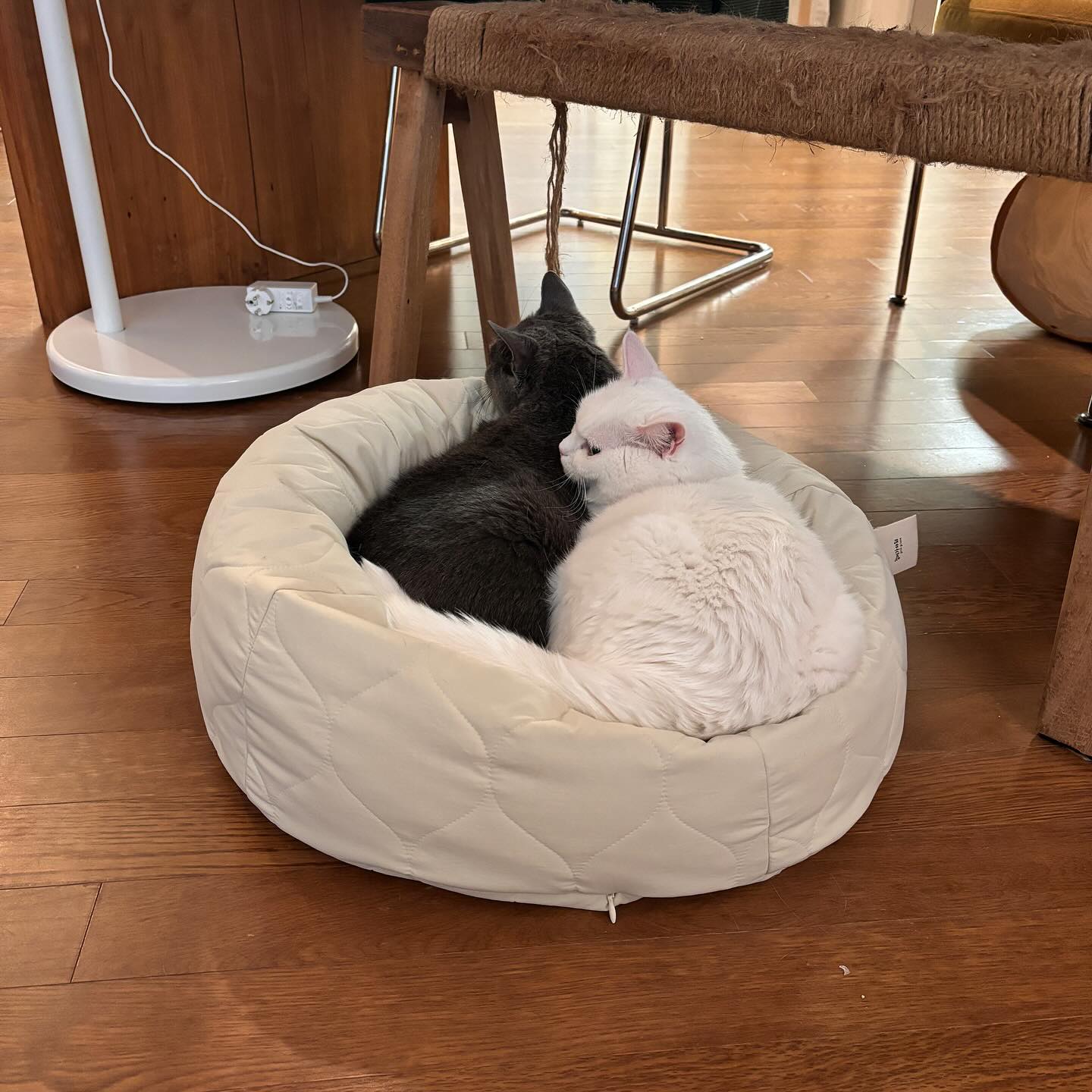 nyanparfait   Sorbét　猫がダメになるクッション - キルティング