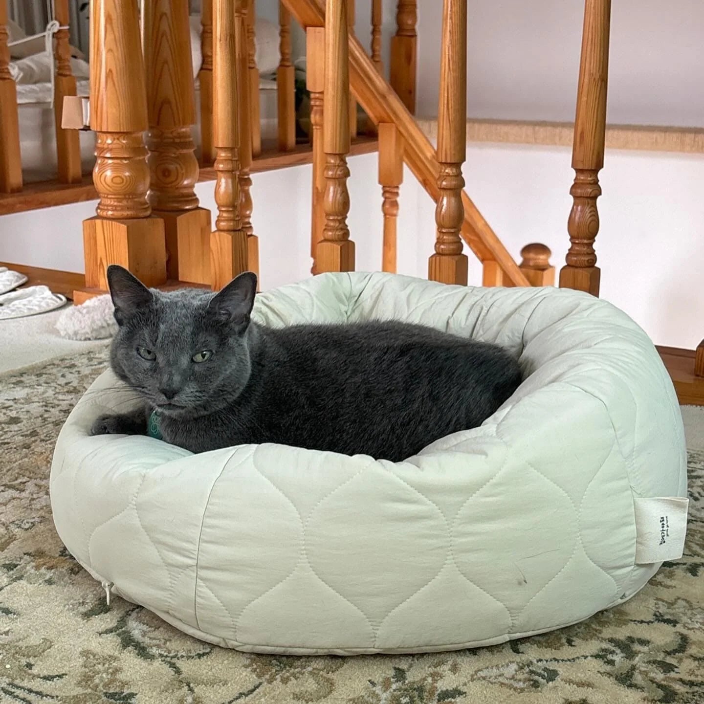 nyanparfait   Sorbét　猫がダメになるクッション - キルティング