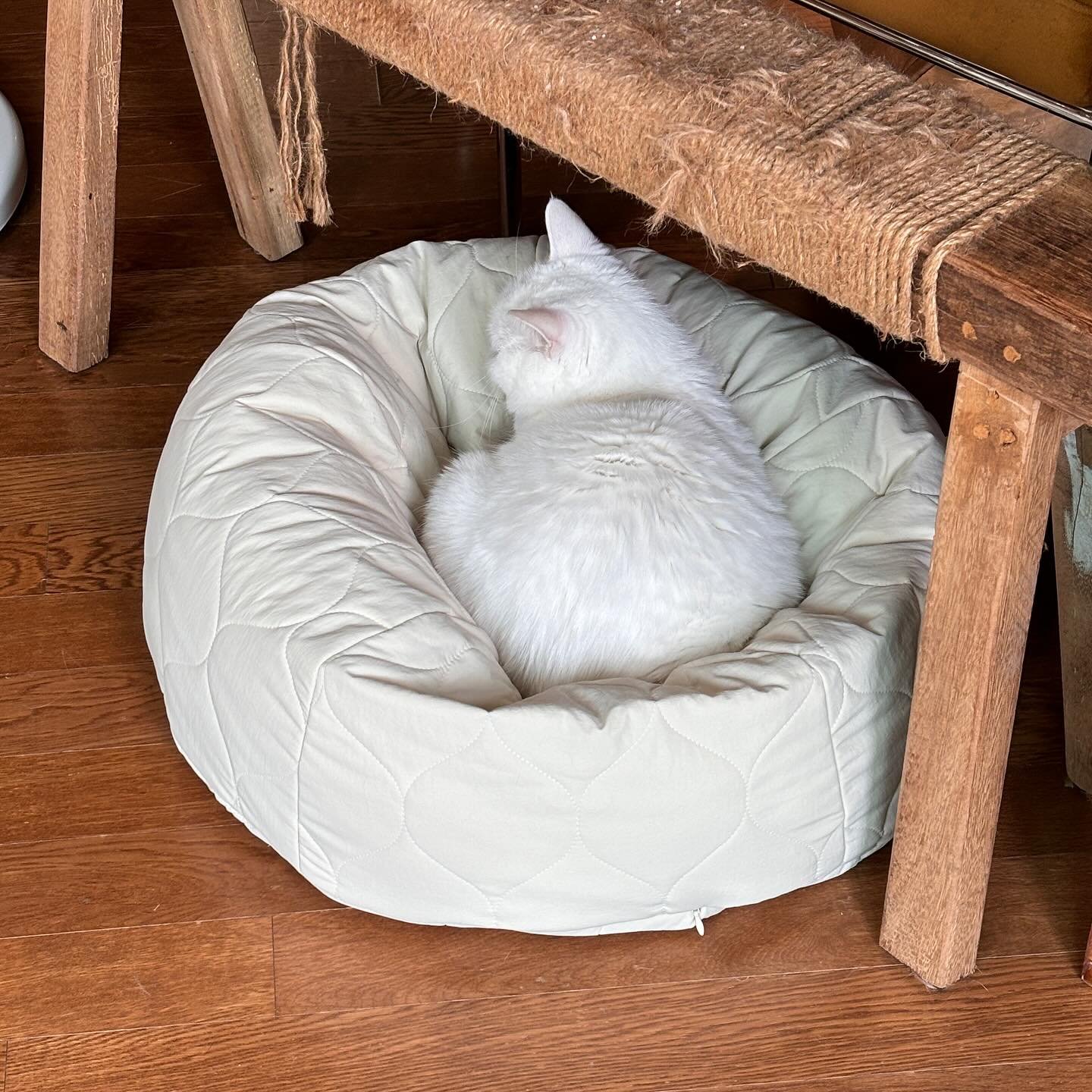 nyanparfait   Sorbét　猫がダメになるクッション - キルティング