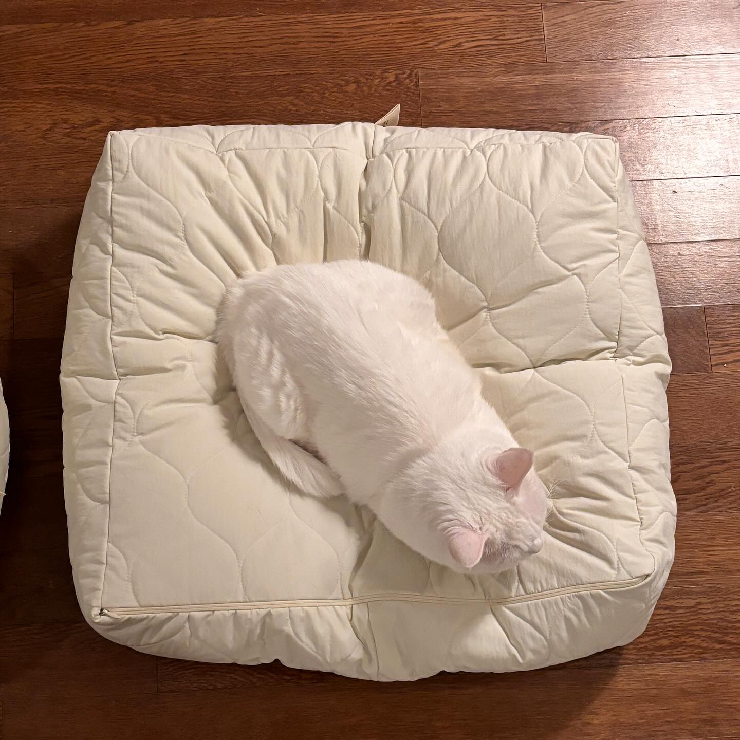 nyanparfait   Sorbét　猫がダメになるクッション - キルティング