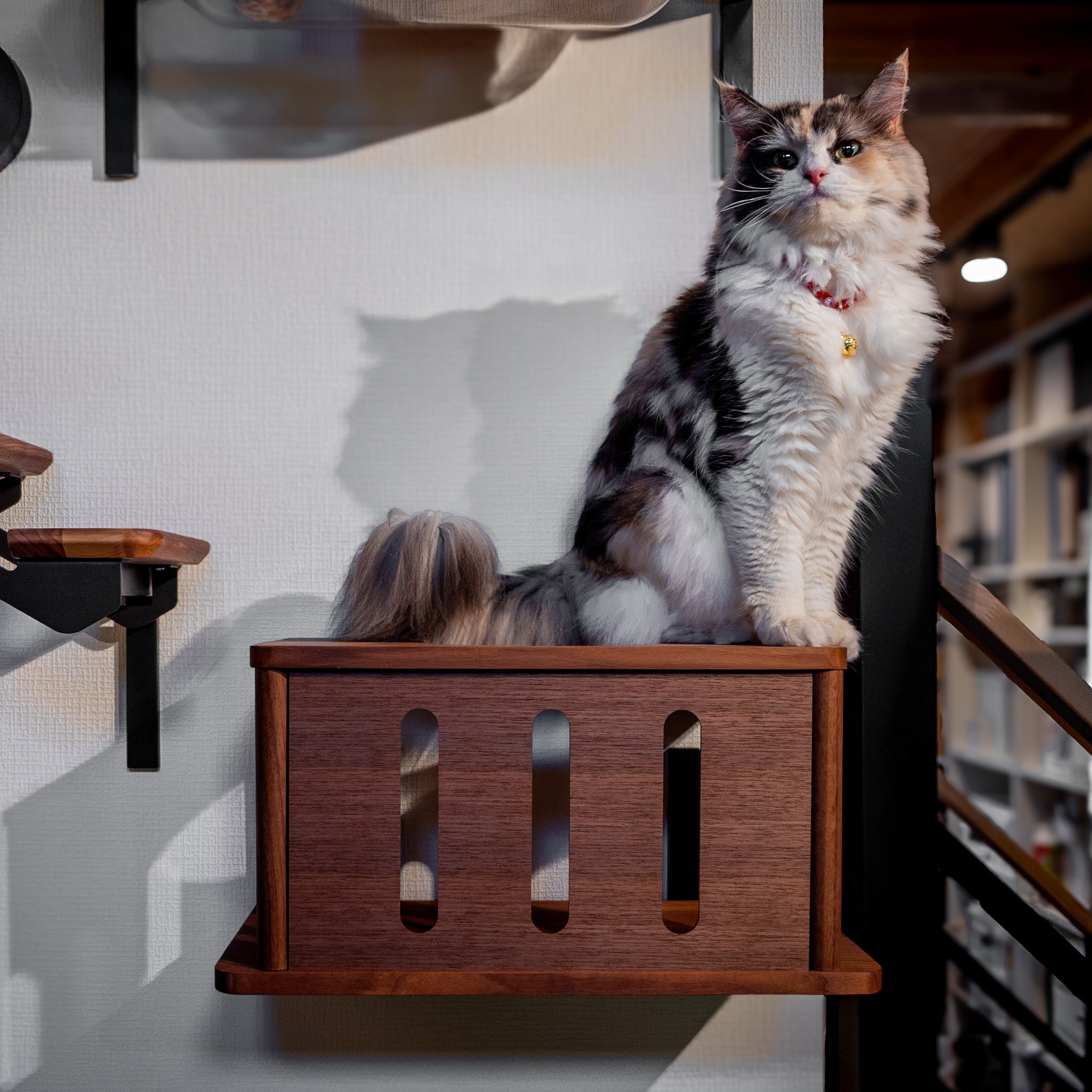 キャットステップ／キャットウォーク | 日本製猫用品、グッズの専門