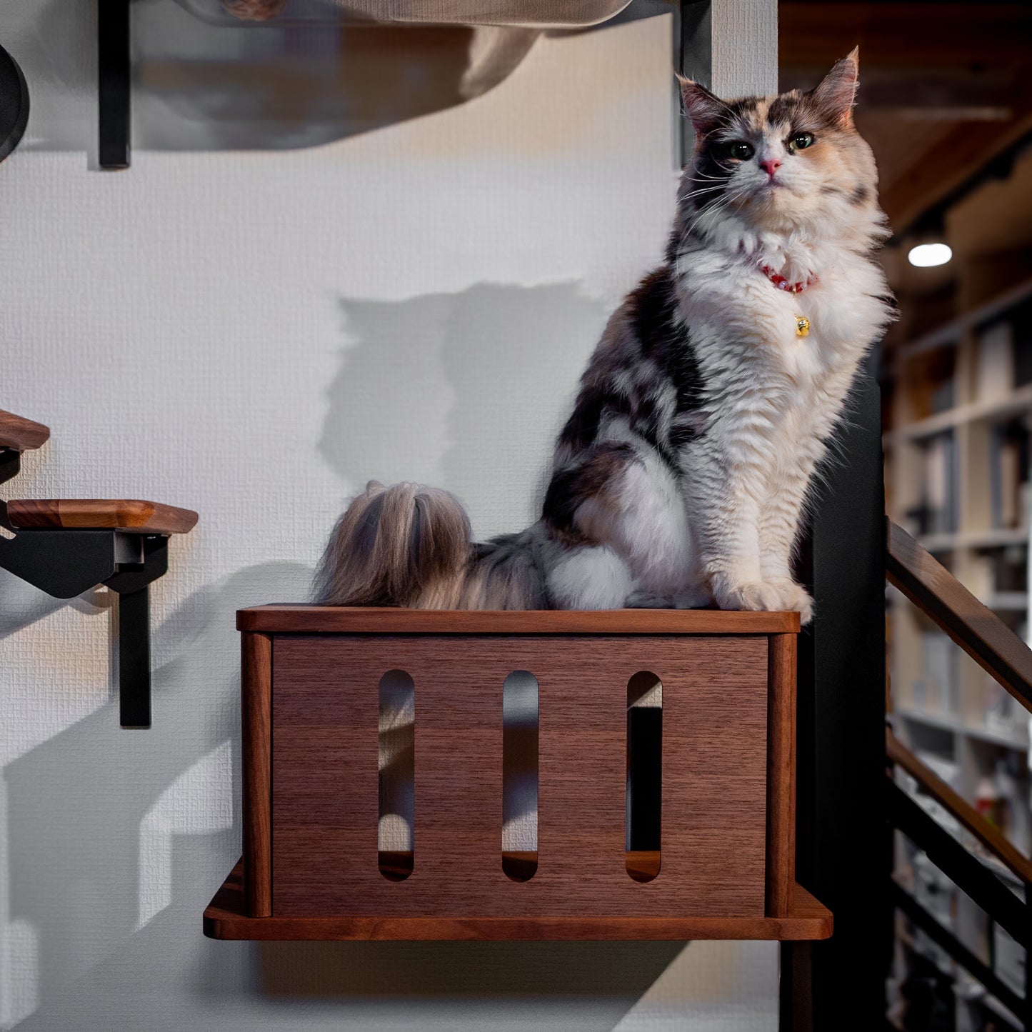 moku to.  キャットトンネル