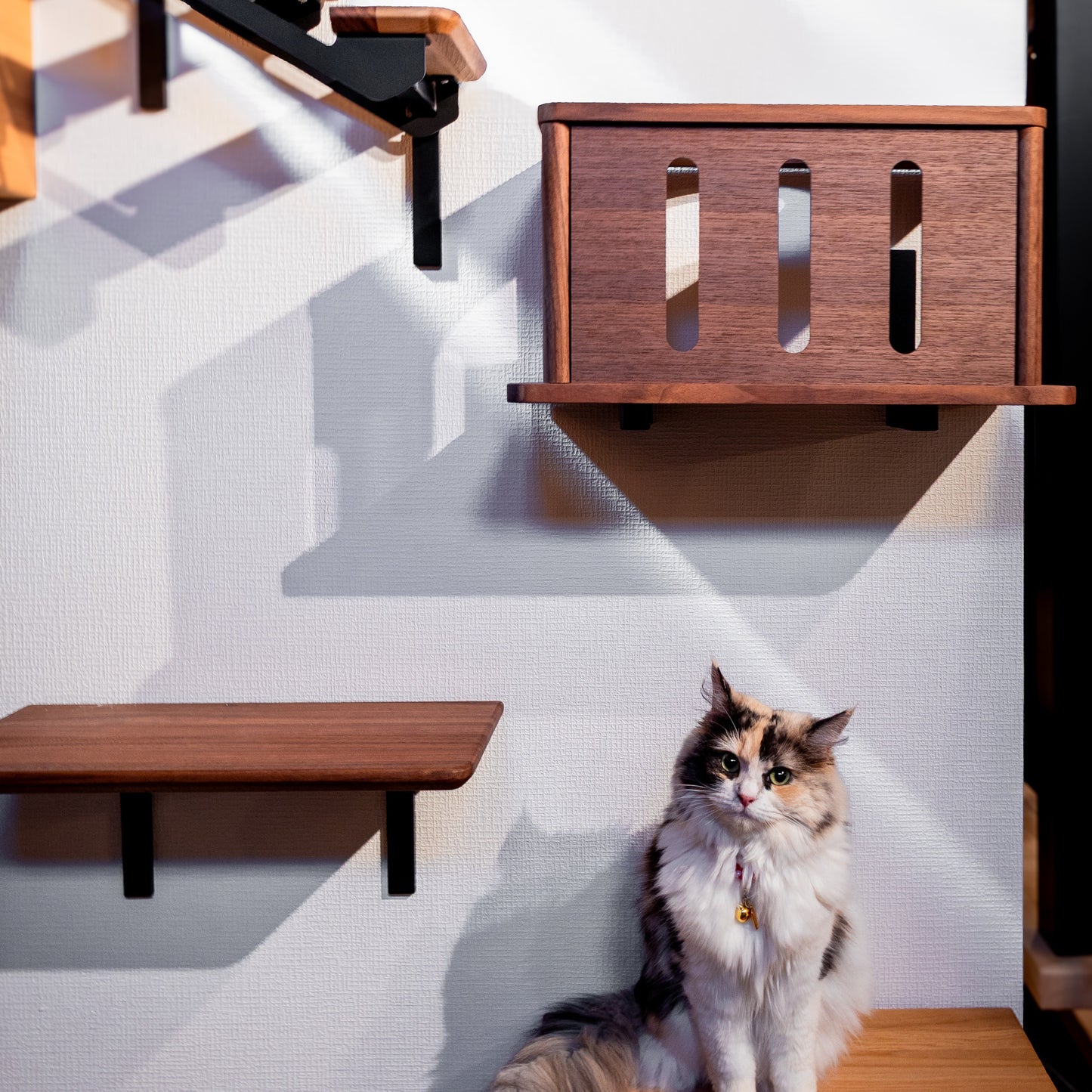 moku to.  キャットトンネル