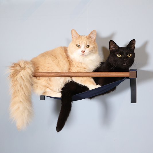 moku to.  キャットハンモック
