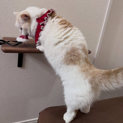 moku to.  ウッドステップ (ウォールナット/ホワイトオーク）