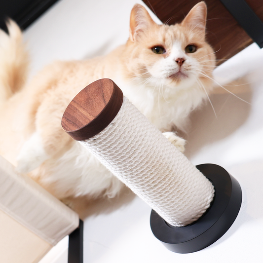 moku to.  キャットスティック（つめみがきステップ）