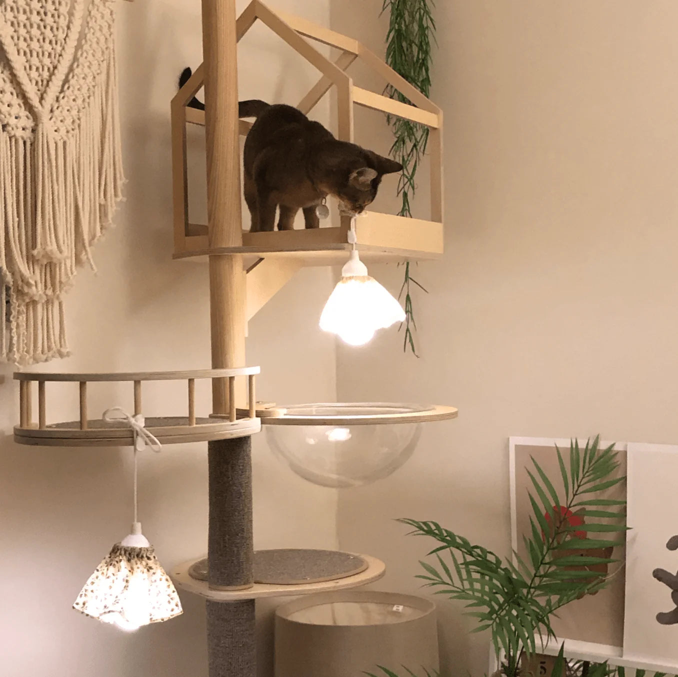 nyanparfait Sorbét　吊り下げランプ